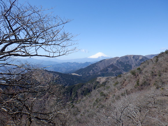 大山から富士山